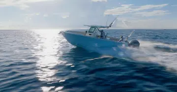 Thumbnail von Sailfish 312 CC