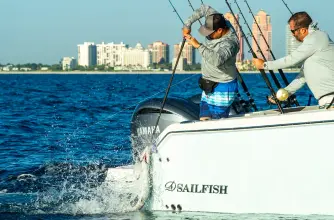 Thumbnail von Sailfish 312 CC