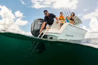 Thumbnail von Sailfish 312 CC