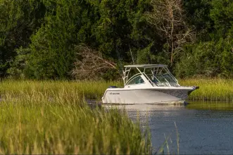 Thumbnail von Sailfish 245 DC