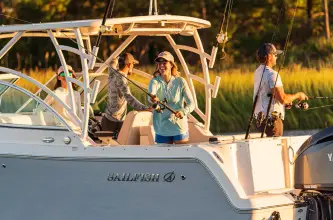 Thumbnail von Sailfish 245 DC