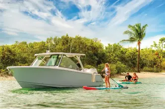 Thumbnail von Sailfish 316 DC