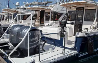 Thumbnail von Cutwater Boats C-32 C
