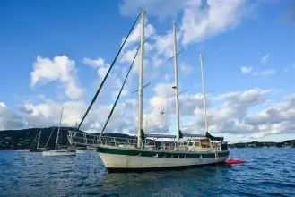 Thumbnail von Custom Arden 60 Arctic Vixen