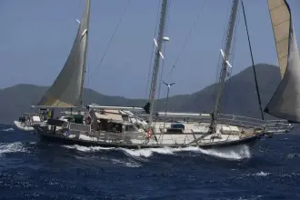 Thumbnail von Custom Arden 60 Arctic Vixen