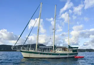 Thumbnail von Custom Arden 60 Arctic Vixen