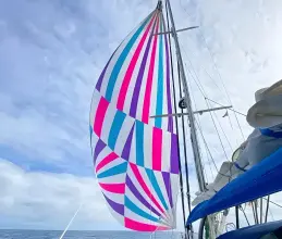 Thumbnail von Pacific Seacraft 40