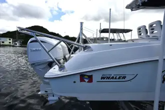 Thumbnail von Boston Whaler 320 Outrage