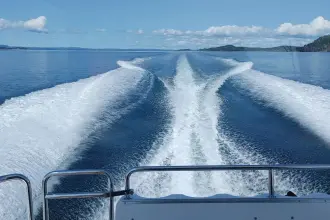 Thumbnail von Nord Star 31+ Lilypad