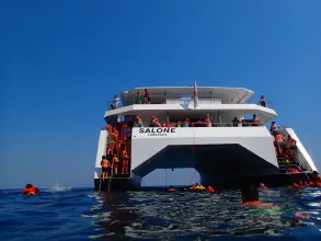 Thumbnail von Custom Catamaran SALONE