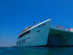 Thumbnail von Custom Catamaran SALONE