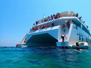 Thumbnail von Custom Catamaran SALONE