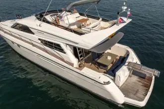 Thumbnail von Princess 60 Flybridge