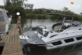 Thumbnail von Drago Boats SR25