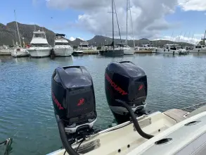 Thumbnail von Chris-Craft 34 Catalina