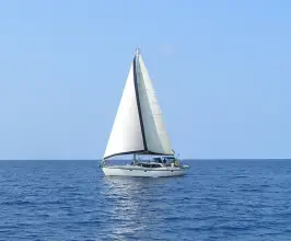 Wauquiez Pilot Saloon 43