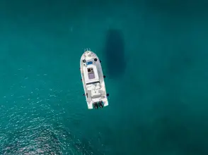 Barracuda 8` Whisper