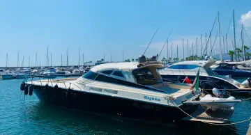 Magnum 53 Sport