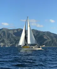 Thumbnail von Island Packet 445 Make Me Laugh Again