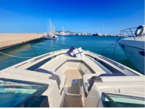 Thumbnail von Sea Ray SLX 310