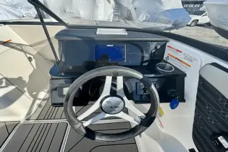 Thumbnail von Sea Ray SPX 190 Outboard