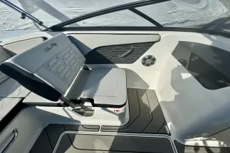 Thumbnail von Sea Ray SPX 190 Outboard