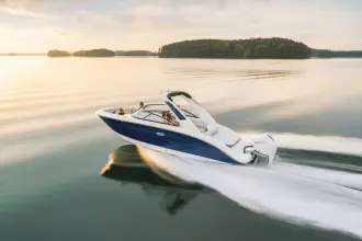 Thumbnail von Sea Ray SDX 250 Outboard