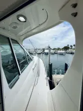 Thumbnail von Sea Ray 480 Motor Yacht