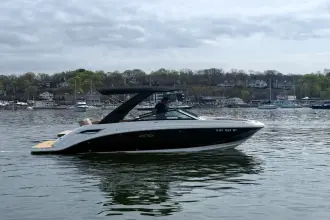 Sea Ray SDX 250