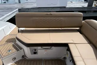 Thumbnail von Sea Ray SDX 250