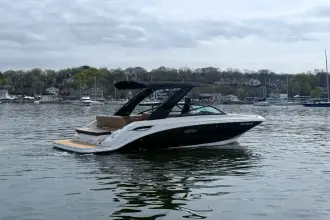 Thumbnail von Sea Ray SDX 250