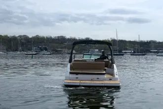 Thumbnail von Sea Ray SDX 250