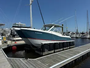World Cat 296 DC