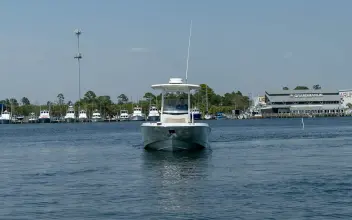 Thumbnail von Boston Whaler 270 Dauntless