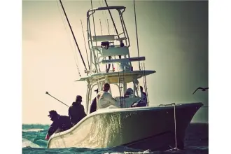 Thumbnail von Yellowfin 36 Offshore