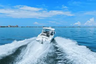Thumbnail von Boston Whaler 320 Vantage