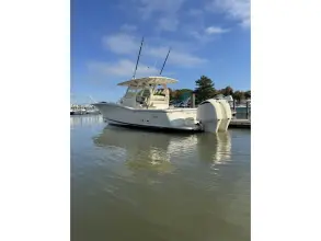 Scout 345 Sportfish