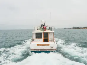 Thumbnail von Vic Franck Pilothouse
