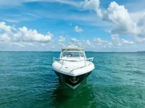 Thumbnail von Intrepid 430 Sport Yacht Virgo