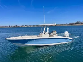 Boston Whaler 250 Dauntless