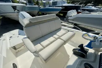 Thumbnail von Boston Whaler 250 Dauntless