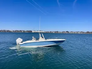 Thumbnail von Boston Whaler 250 Dauntless