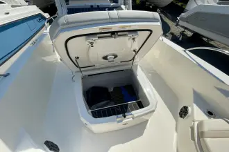 Thumbnail von Boston Whaler 250 Dauntless