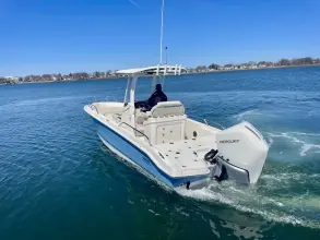 Thumbnail von Boston Whaler 250 Dauntless