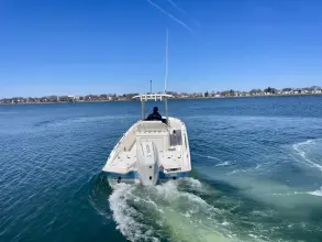 Thumbnail von Boston Whaler 250 Dauntless