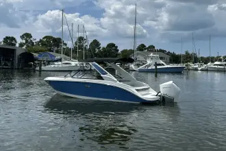 Thumbnail von Sea Ray SDX 230 Outboard