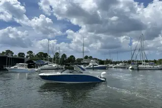 Thumbnail von Sea Ray SDX 230 Outboard