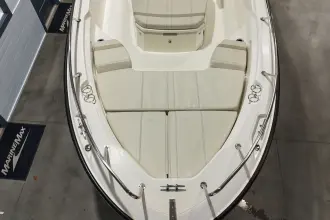 Thumbnail von Boston Whaler 250 Dauntless