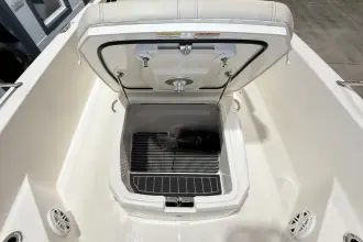 Thumbnail von Boston Whaler 250 Dauntless