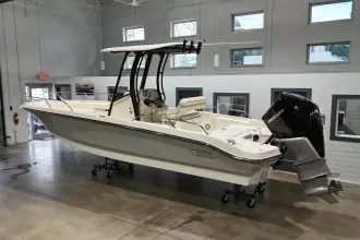 Thumbnail von Boston Whaler 250 Dauntless